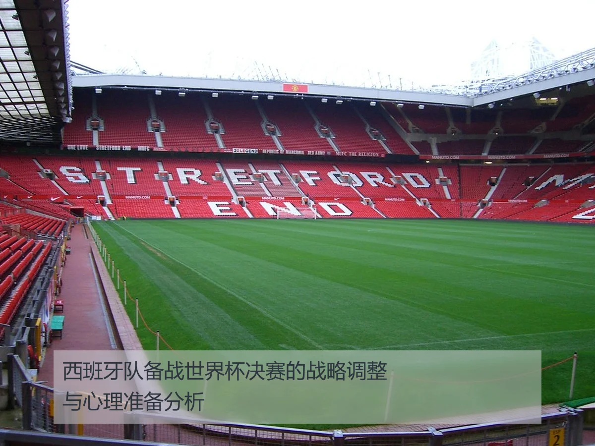 西班牙队备战世界杯决赛的战略调整与心理准备分析